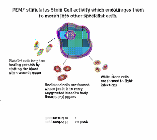 Cell Change PEMF8000